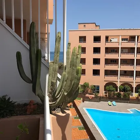 Apartamento New! Dreamy Next To The Sea