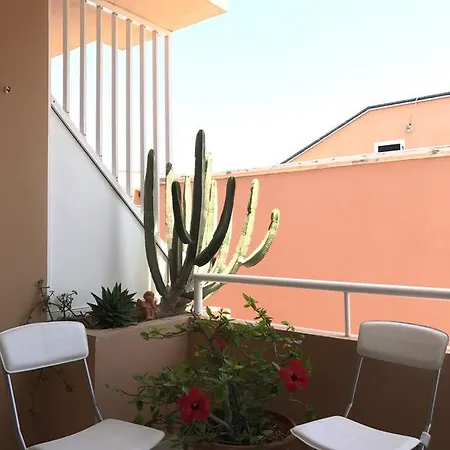 New! Dreamy Next To The Sea